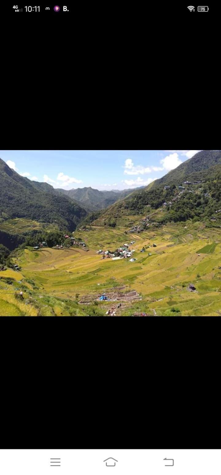 Batad Village Homestay & Restaurant Банауе Екстериор снимка
